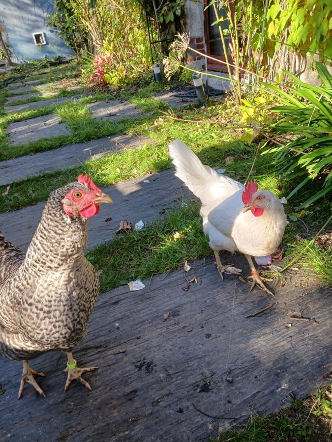 Logement Entier - Le Pigeonnier De La Plume Нант Екстериор снимка